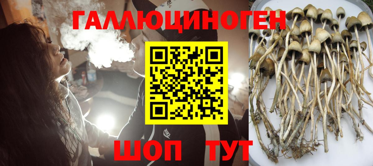 Глазов  цены   Вход с VPN  Псилоцибиновые грибы мухоморы  Галлюциногенные грибы GOLDEN TEACHER 